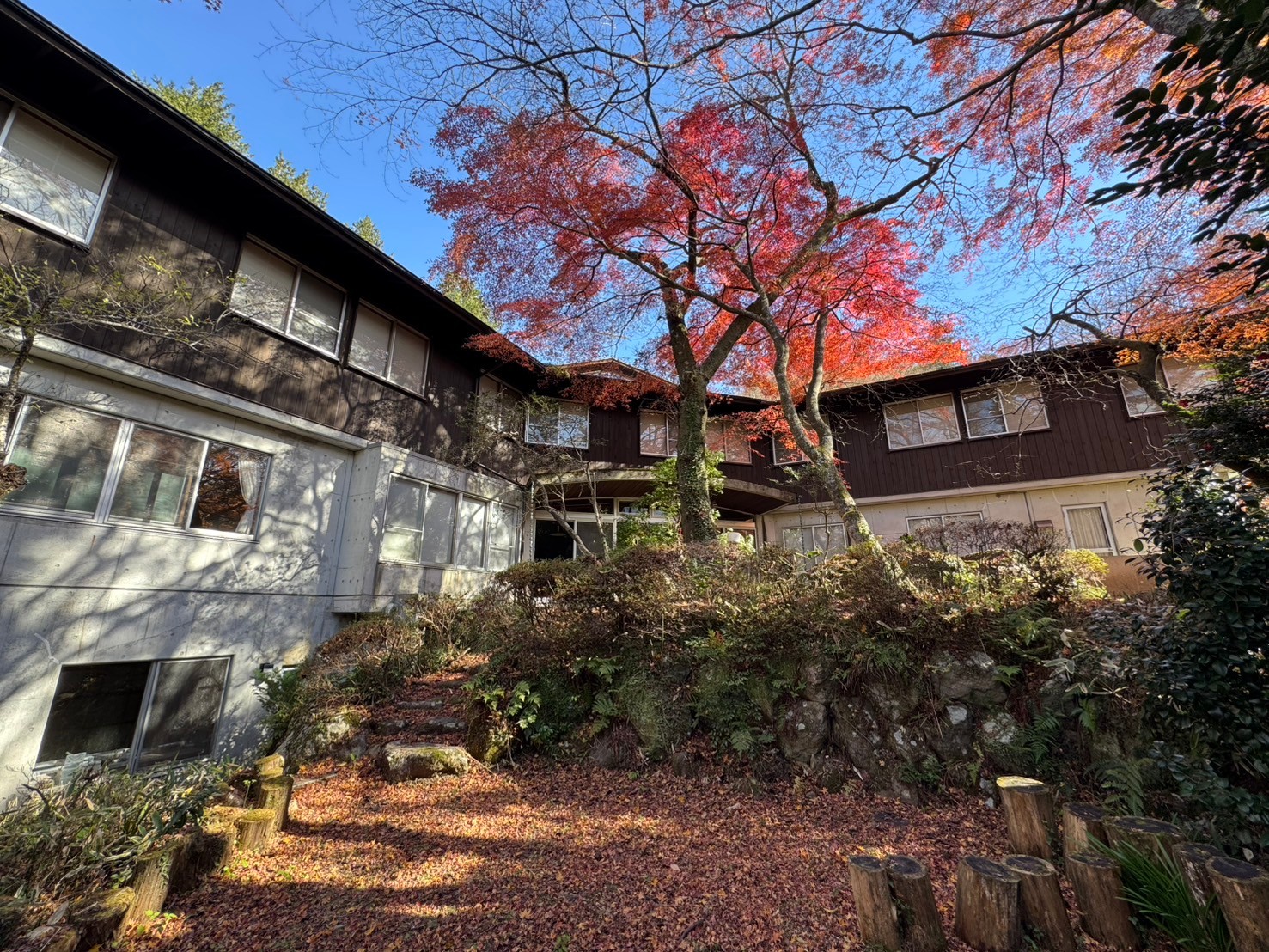 Hakone Villa (Green Scenery)